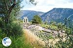 Delphi (Delfi) | Fokida | Central Greece  Photo 18 - Photo GreeceGuide.co.uk