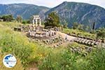 Delphi (Delfi) | Fokida | Central Greece  Photo 20 - Photo GreeceGuide.co.uk