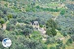 Delphi (Delfi) | Fokida | Central Greece  Photo 28 - Photo GreeceGuide.co.uk