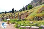 Delphi (Delfi) | Fokida | Central Greece  Photo 31 - Photo GreeceGuide.co.uk