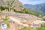 Delphi (Delfi) | Fokida | Central Greece  Photo 64 - Photo GreeceGuide.co.uk