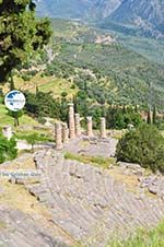 Delphi (Delfi) | Fokida | Central Greece  Photo 70 - Photo GreeceGuide.co.uk