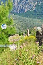 Delphi (Delfi) | Fokida | Central Greece  Photo 84 - Photo GreeceGuide.co.uk