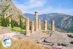 Delphi (Delfi) | Fokida | Central Greece  Photo 96 - Photo GreeceGuide.co.uk