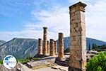 Delphi (Delfi) | Fokida | Central Greece  Photo 101 - Photo GreeceGuide.co.uk