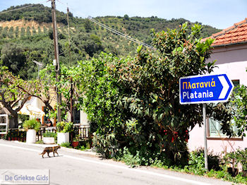 Leuk small village Patelari near Platanias and Stalos (Platanias Chania Crete - Stalos Chania Crete) Photo 4  | Chania | Crete - Photo GreeceGuide.co.uk