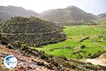 Plateau Askifou | Chania Crete | Chania Prefecture 3 - Photo GreeceGuide.co.uk