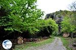 Traditional Village Deliana | Chania Crete | Chania Prefecture 8 - Photo GreeceGuide.co.uk