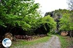 Traditional Village Deliana | Chania Crete | Chania Prefecture 11 - Photo GreeceGuide.co.uk