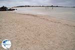 Sandy beach Elafonisi (Elafonissi) | Chania Crete | Chania Prefecture 6 - Photo GreeceGuide.co.uk