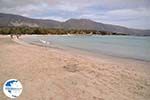 Sandy beach Elafonisi (Elafonissi) | Chania Crete | Chania Prefecture 10 - Photo GreeceGuide.co.uk