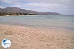 Sandy beach Elafonisi (Elafonissi) | Chania Crete | Chania Prefecture 11 - Photo GreeceGuide.co.uk