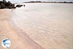 Sandy beach Elafonisi (Elafonissi) | Chania Crete | Chania Prefecture 31 - Photo GreeceGuide.co.uk