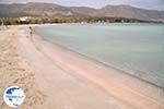 Sandy beach Elafonisi (Elafonissi) | Chania Crete | Chania Prefecture 33 - Photo GreeceGuide.co.uk