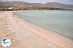 Sandy beach Elafonisi (Elafonissi) | Chania Crete | Chania Prefecture 33 - Photo GreeceGuide.co.uk