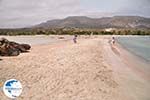 Sandy beach Elafonisi (Elafonissi) | Chania Crete | Chania Prefecture 34 - Photo GreeceGuide.co.uk