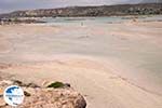 Sandy beach Elafonisi (Elafonissi) | Chania Crete | Chania Prefecture 45 - Photo GreeceGuide.co.uk