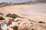 Sandy beach Elafonisi (Elafonissi) | Chania Crete | Chania Prefecture 46 - Photo GreeceGuide.co.uk