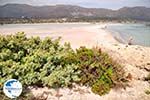 Sandy beach Elafonisi (Elafonissi) | Chania Crete | Chania Prefecture 49 - Photo GreeceGuide.co.uk