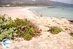 Sandy beach Elafonisi (Elafonissi) | Chania Crete | Chania Prefecture 50 - Photo GreeceGuide.co.uk