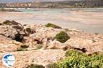 Sandy beach Elafonisi (Elafonissi) | Chania Crete | Chania Prefecture 51 - Photo GreeceGuide.co.uk