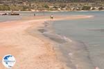 Sandy beach Elafonisi (Elafonissi) | Chania Crete | Chania Prefecture 56 - Photo GreeceGuide.co.uk