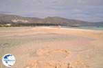 Sandy beach Elafonisi (Elafonissi) | Chania Crete | Chania Prefecture 60 - Photo GreeceGuide.co.uk
