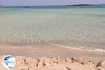 Sandy beach Elafonisi (Elafonissi) | Chania Crete | Chania Prefecture 64 - Photo GreeceGuide.co.uk