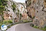 Kourtaliotiko gorge Crete | Greece | Greece  Photo 2 - Photo GreeceGuide.co.uk