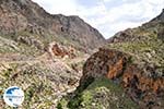 Kourtaliotiko gorge Crete | Greece | Greece  Photo 11 - Photo GreeceGuide.co.uk