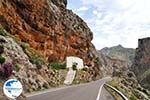 Kourtaliotiko gorge Crete | Greece | Greece  Photo 14 - Photo GreeceGuide.co.uk