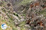 Kourtaliotiko gorge Crete | Greece | Greece  Photo 17 - Photo GreeceGuide.co.uk