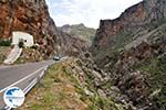 Kourtaliotiko gorge Crete | Greece | Greece  Photo 18 - Photo GreeceGuide.co.uk