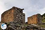 Lassithi Plateau Crete | Greece | Greece  Photo 8 - Photo GreeceGuide.co.uk