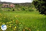 Lassithi Plateau Crete | Greece | Greece  Photo 32 - Photo GreeceGuide.co.uk