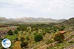 Lassithi Plateau Crete | Greece | Greece  Photo 38 - Photo GreeceGuide.co.uk