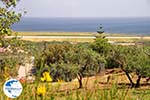 Maleme | Chania Crete | Chania Prefecture 15 - Photo GreeceGuide.co.uk