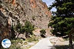 Samaria gorge | Crete | Greece Photo 1 - Photo GreeceGuide.co.uk