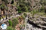 Samaria gorge | Crete | Greece Photo 8 - Photo GreeceGuide.co.uk