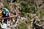 Samaria gorge | Crete | Greece Photo 10 - Photo GreeceGuide.co.uk