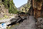 Samaria gorge | Crete | Greece Photo 25 - Photo GreeceGuide.co.uk