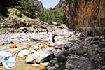 Samaria gorge | Crete | Greece Photo 41 - Photo GreeceGuide.co.uk