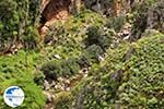 Traditional Village Topolia | Chania Crete | Chania Prefecture 26 - Photo GreeceGuide.co.uk