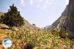 From Agia Roumeli to the Samaria gorge | Chania Crete | Greece - Photo GreeceGuide.co.uk