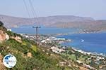 Elounda Crete | Greece | Greece  - Photo 050 - Photo GreeceGuide.co.uk