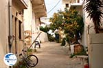 Paleochora Crete | Chania Prefecture | Greece | Greece  Photo 17 - Photo GreeceGuide.co.uk