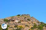 Agios Pavlos | South Crete | Greece  Photo 17 - Photo GreeceGuide.co.uk