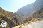 Kourtaliotiko gorge | South Crete | Greece  Photo 4 - Photo GreeceGuide.co.uk