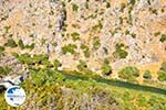 Preveli | South Crete | Greece  Photo 14 - Photo GreeceGuide.co.uk