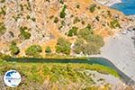 Preveli | South Crete | Greece  Photo 15 - Photo GreeceGuide.co.uk